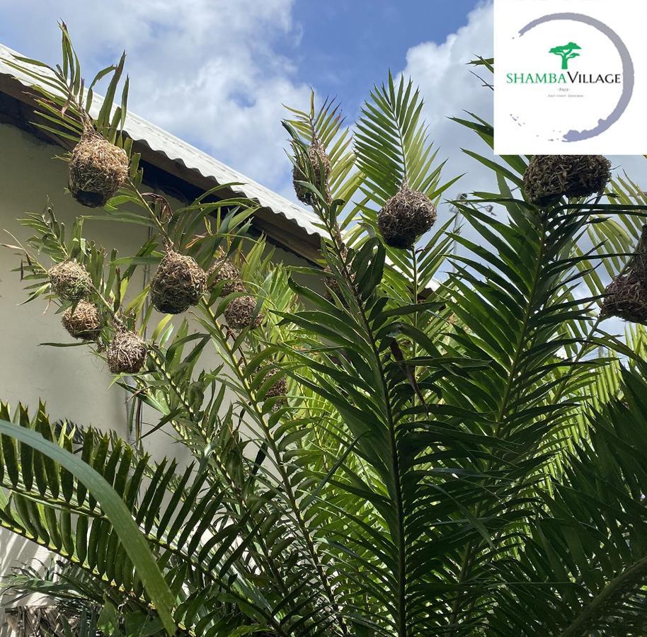 Shamba Village Paje Dış mekan fotoğraf